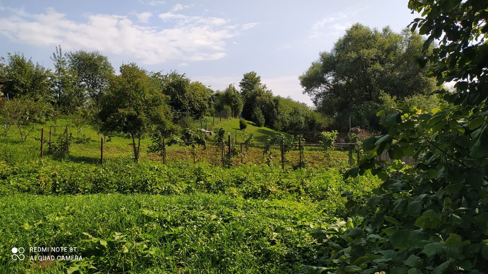 Из 119 деревень-участниц жители региона выбирали лишь 3, зато самых-самых. Какие же населенные пункты назвали прекраснейшими?