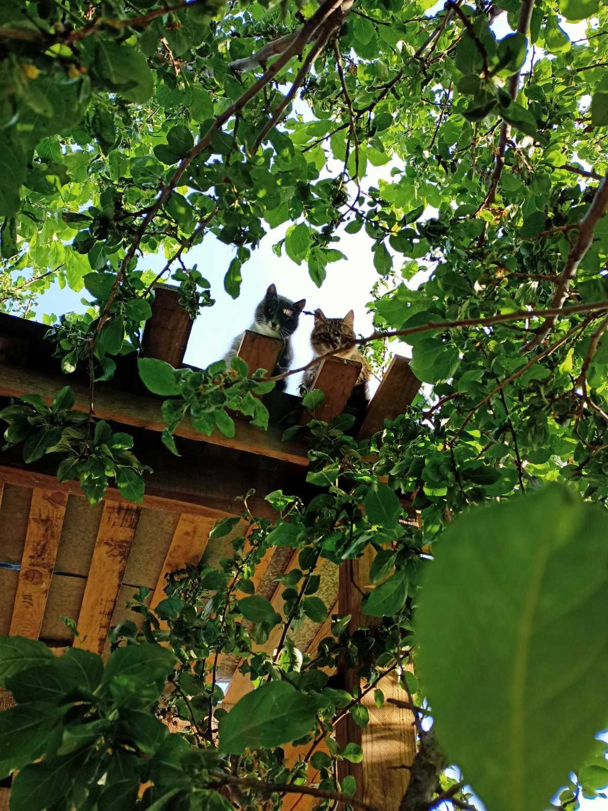 Из 119 деревень-участниц жители региона выбирали лишь 3, зато самых-самых. Какие же населенные пункты назвали прекраснейшими?