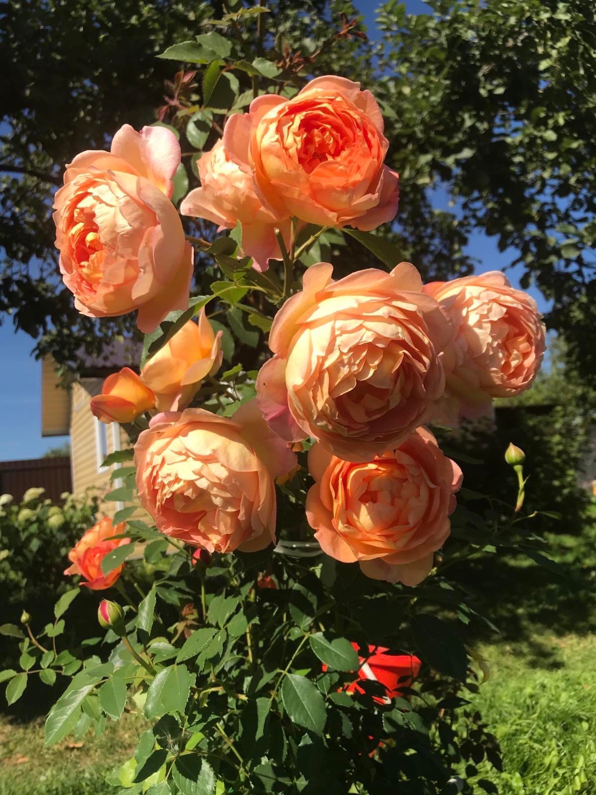 Из 119 деревень-участниц жители региона выбирали лишь 3, зато самых-самых. Какие же населенные пункты назвали прекраснейшими?