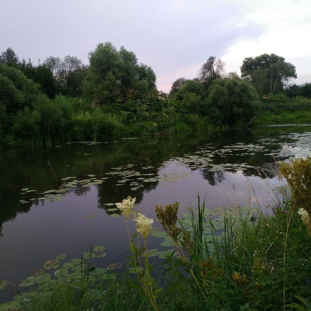 Из 119 деревень-участниц жители региона выбирали лишь 3, зато самых-самых. Какие же населенные пункты назвали прекраснейшими?