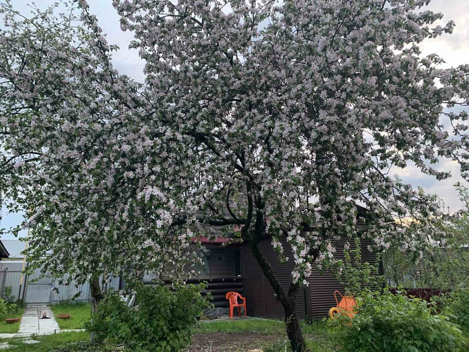 Из 119 деревень-участниц жители региона выбирали лишь 3, зато самых-самых. Какие же населенные пункты назвали прекраснейшими?