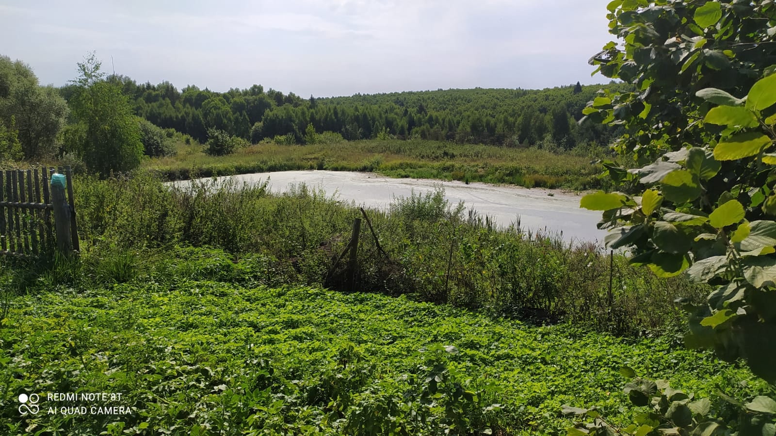 Из 119 деревень-участниц жители региона выбирали лишь 3, зато самых-самых. Какие же населенные пункты назвали прекраснейшими?