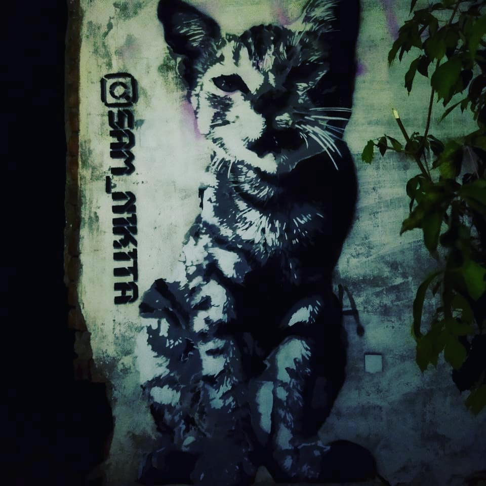 Расписанные фасады и электрощиты: что еще угодило в подборку городских арт-обновлений, кроме 72-летнего скейтера, романтичного триптиха и котиков?