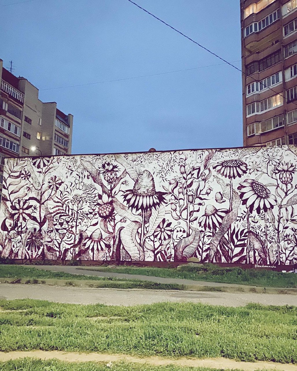 Расписанные фасады и электрощиты: что еще угодило в подборку городских арт-обновлений, кроме 72-летнего скейтера, романтичного триптиха и котиков?