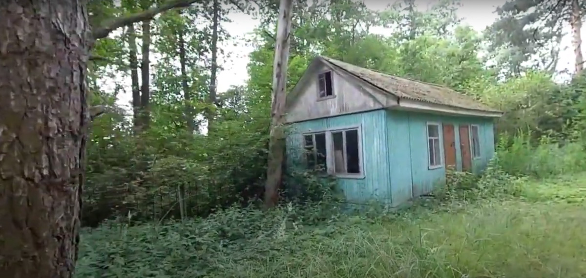 Видеоблогер Михаил Слуцкий побывал в заброшенном пионерлагере «Чайка». Он поделился с нами кадрами и впечатлениями от посещения этого объекта.