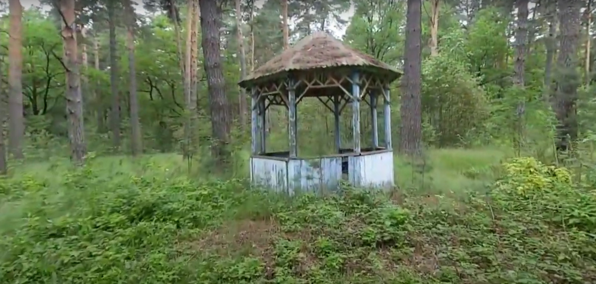 Видеоблогер Михаил Слуцкий побывал в заброшенном пионерлагере «Чайка». Он поделился с нами кадрами и впечатлениями от посещения этого объекта.