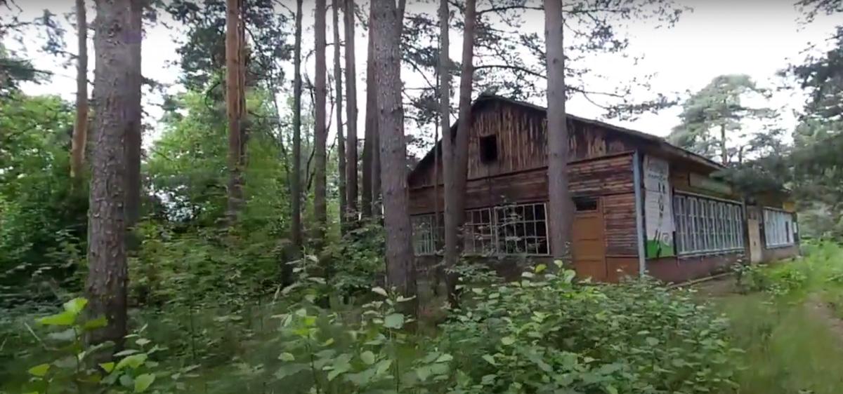 Видеоблогер Михаил Слуцкий побывал в заброшенном пионерлагере «Чайка». Он поделился с нами кадрами и впечатлениями от посещения этого объекта.