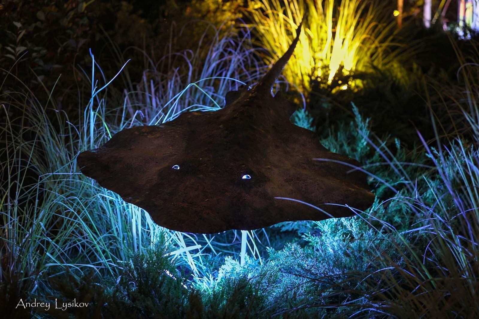 В Царицыно проходит IV Фестиваль исторических садов. В этом году он посвящен старинным усадьбам. Один из проектов - имение графа Храповицкого в Муромцево. Ландшафтные дизайнеры создали современную интерпретацию.