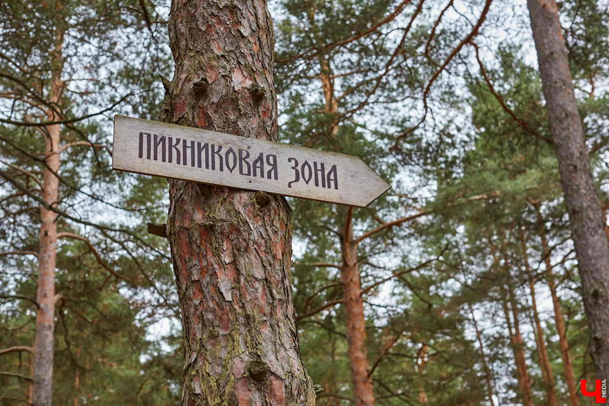 Обзор новостей об обновлениях в парках и скверах Владимира.