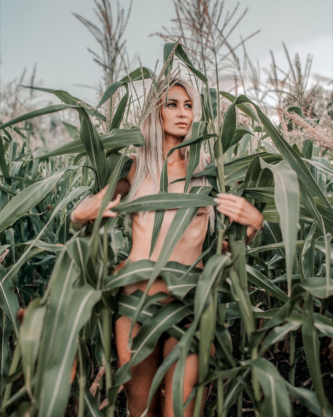 За окном стремительно холодает, поэтому будни необходимо разбавлять чем-то горяченьким. Контентом, который одновременно вдохновляет и возвращает зрителя в состояние летней вседозволенности. Несколько владимирских фотографов поделились с «Ключ-Медиа» снимками, которые справятся с этим запросом, - это обнаженные женские тела на лоне природы.