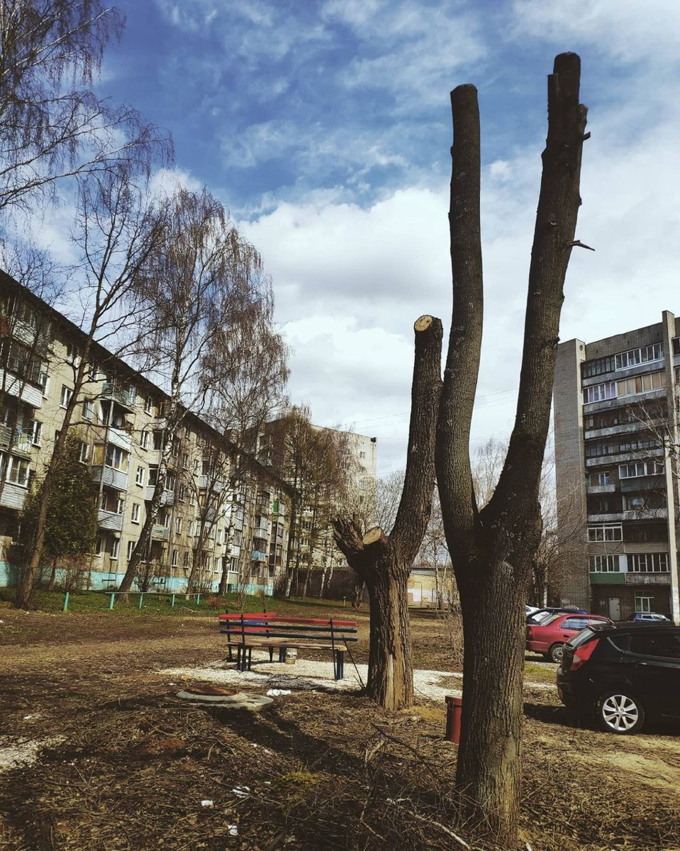 Совсем недавно на видеохостинге YouTube появился канал «Регионы». Это блог Марины Ледневой из Владимира о жизни за пределами столицы и крупных городов. В формате сюжетов с проблематикой девушка исследует культуру, образование, спорт, социальную сферу, урбанистику — словом, любые сферы, кроме политики.