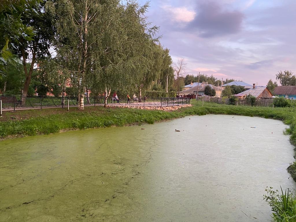 Сквер за «Белым домом» сделают новой ВДНХ. А вот в Александрове обновят парк так, чтобы туда пришли жить белочки. Собрали для вас с десяток новых интересных проектов благоустройства.