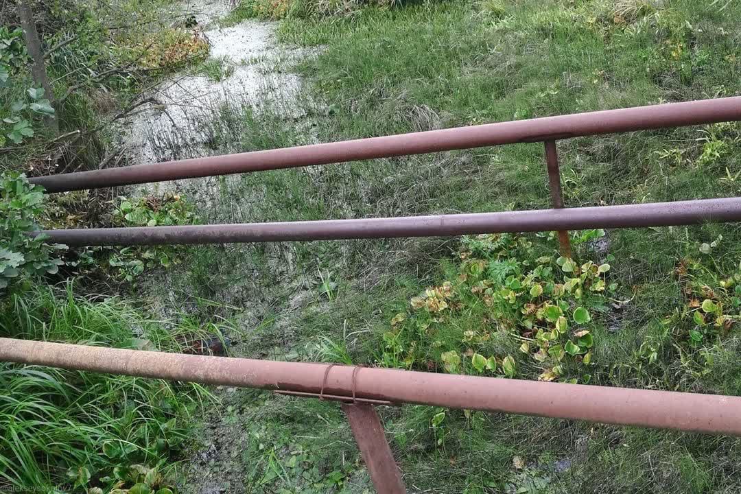 Сквер за «Белым домом» сделают новой ВДНХ. А вот в Александрове обновят парк так, чтобы туда пришли жить белочки. Собрали для вас с десяток новых интересных проектов благоустройства.