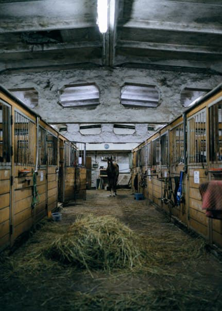 Ольга Журавлева, организатор первого в России международного фестиваля прядения и ткачества, пустила нас в свой очаровательный домик, где хранится много вещей с историей!