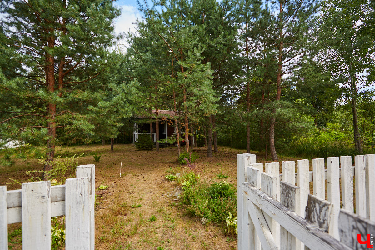 Ольга Журавлева, организатор первого в России международного фестиваля прядения и ткачества, пустила нас в свой очаровательный домик, где хранится много вещей с историей!