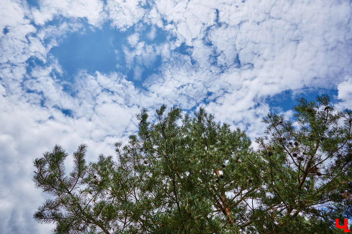 Ольга Журавлева, организатор первого в России международного фестиваля прядения и ткачества, пустила нас в свой очаровательный домик, где хранится много вещей с историей!