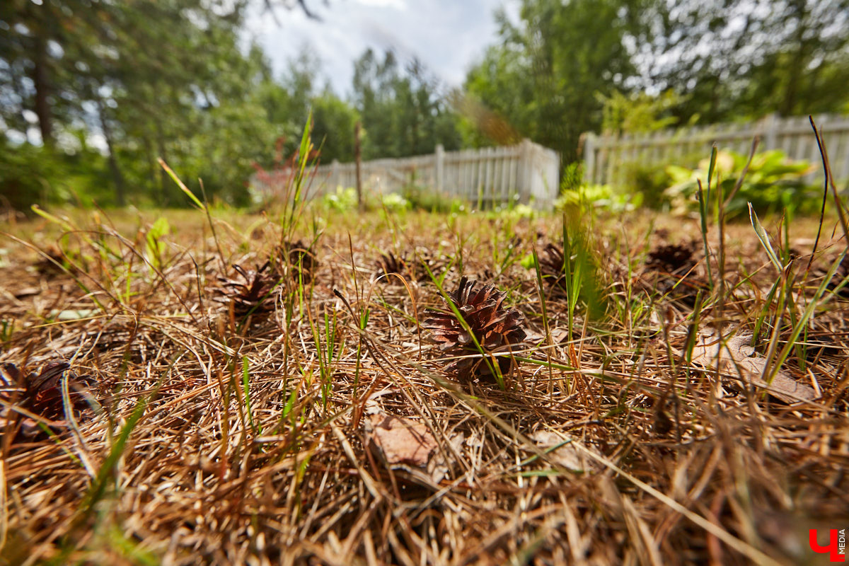 Ольга Журавлева, организатор первого в России международного фестиваля прядения и ткачества, пустила нас в свой очаровательный домик, где хранится много вещей с историей!