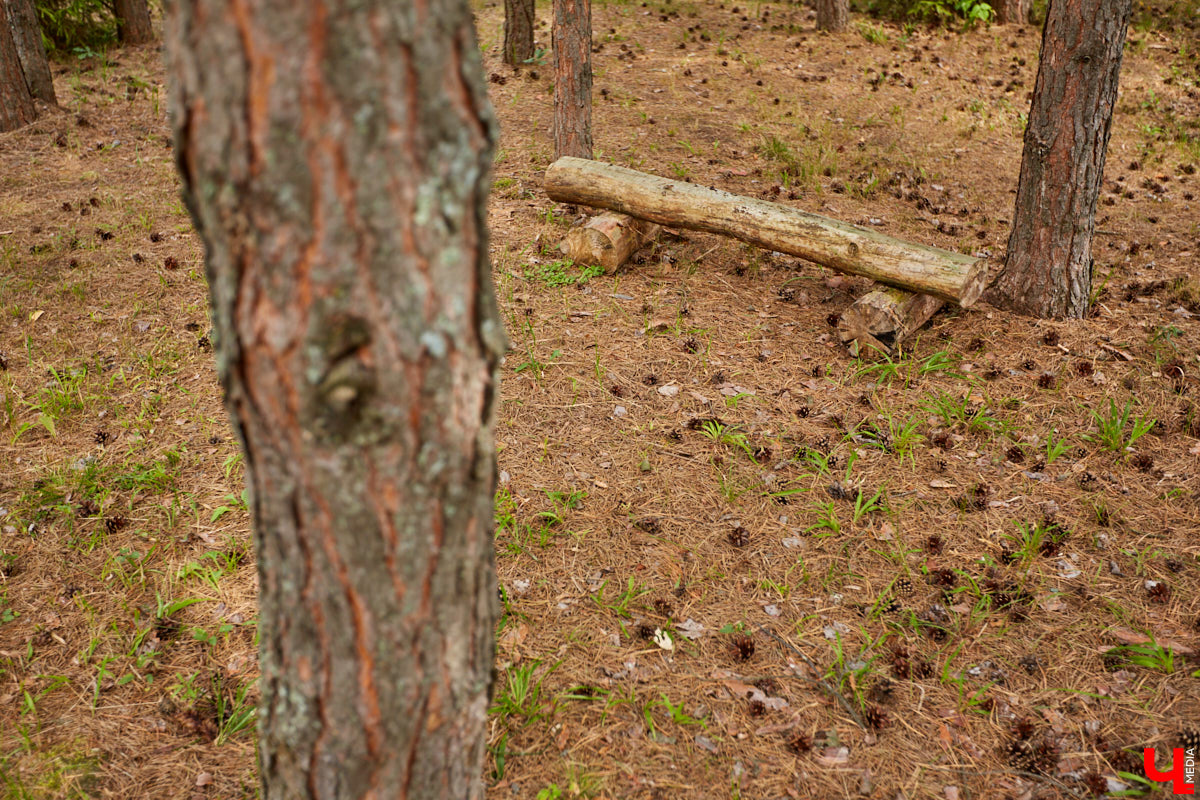 Ольга Журавлева, организатор первого в России международного фестиваля прядения и ткачества, пустила нас в свой очаровательный домик, где хранится много вещей с историей!