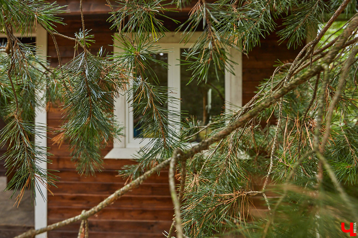 Ольга Журавлева, организатор первого в России международного фестиваля прядения и ткачества, пустила нас в свой очаровательный домик, где хранится много вещей с историей!