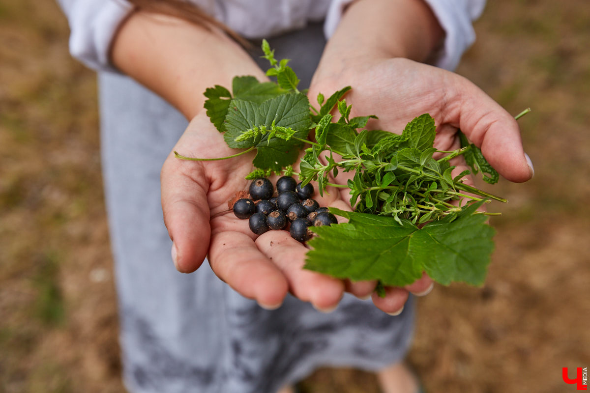 Ольга Журавлева, организатор первого в России международного фестиваля прядения и ткачества, пустила нас в свой очаровательный домик, где хранится много вещей с историей!