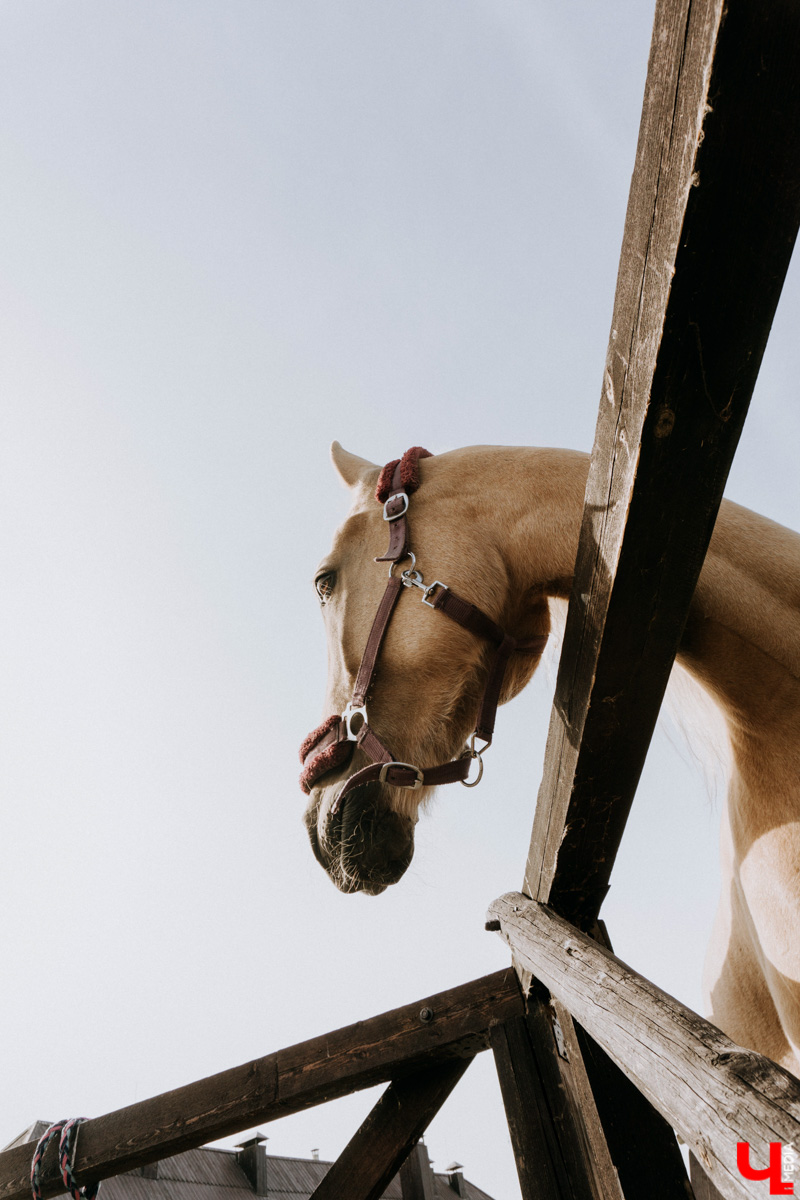 Устали от Суздаля? Значит, ищем альтернативу. Небольшой, но живой и готовый принимать туристов населенный пункт, пара-тройка удивительных храмов, шикарные виды, медовуха и кони… Остров-град Свияжск, расположившийся на Волге за 60 километров от Казани.