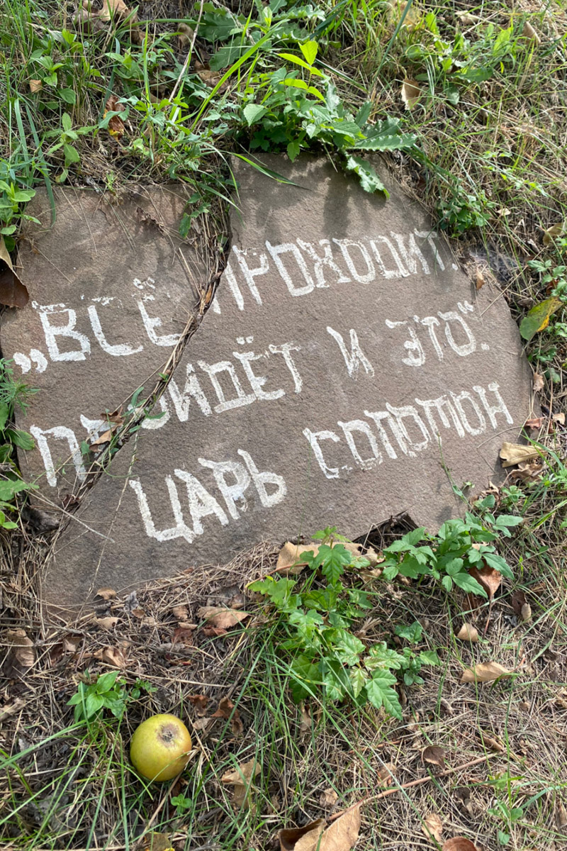 Владимирская ведущая Алена Маркелова рассказала «Ключ-Медиа», как прошел ее ретрит молчания