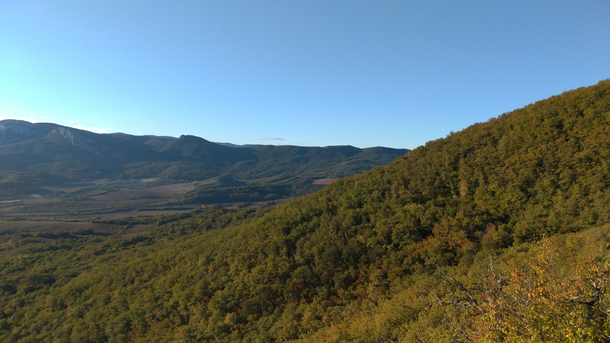 Владимирская ведущая Алена Маркелова рассказала «Ключ-Медиа», как прошел ее ретрит молчания