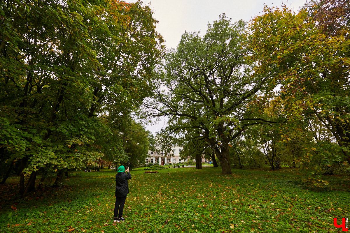Будучи когда-то богатым, «дворцовым» пунктом, село Сима Юрьев-Польского района было пожаловано Петром I князю Михаилу Голицыну за победу над шведским генералом Левенгауптом. Сегодня симское имение князя находится в печальном состоянии, но его призван спасти тотальный ремонт. Как и почему — «Ключ-Медиа» разбирался вместе с экскурсоводом Татьяной Быковой