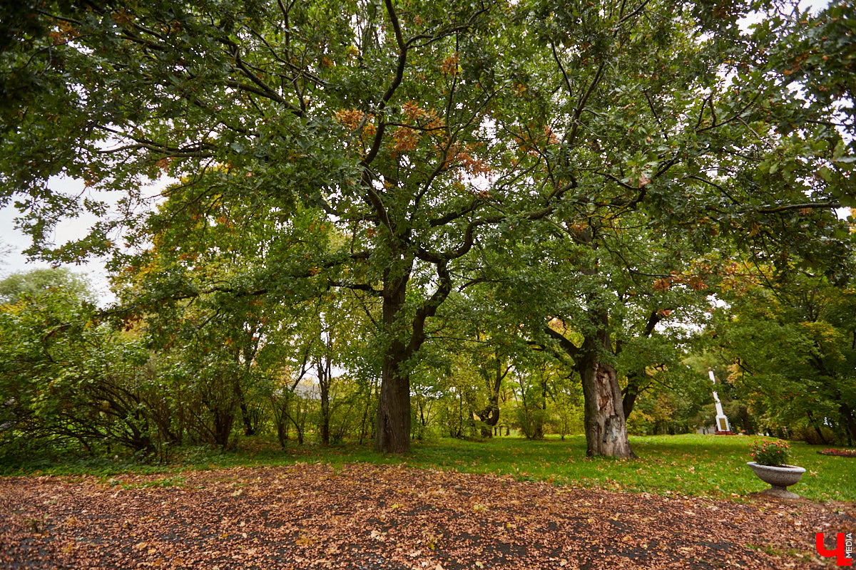 Будучи когда-то богатым, «дворцовым» пунктом, село Сима Юрьев-Польского района было пожаловано Петром I князю Михаилу Голицыну за победу над шведским генералом Левенгауптом. Сегодня симское имение князя находится в печальном состоянии, но его призван спасти тотальный ремонт. Как и почему — «Ключ-Медиа» разбирался вместе с экскурсоводом Татьяной Быковой