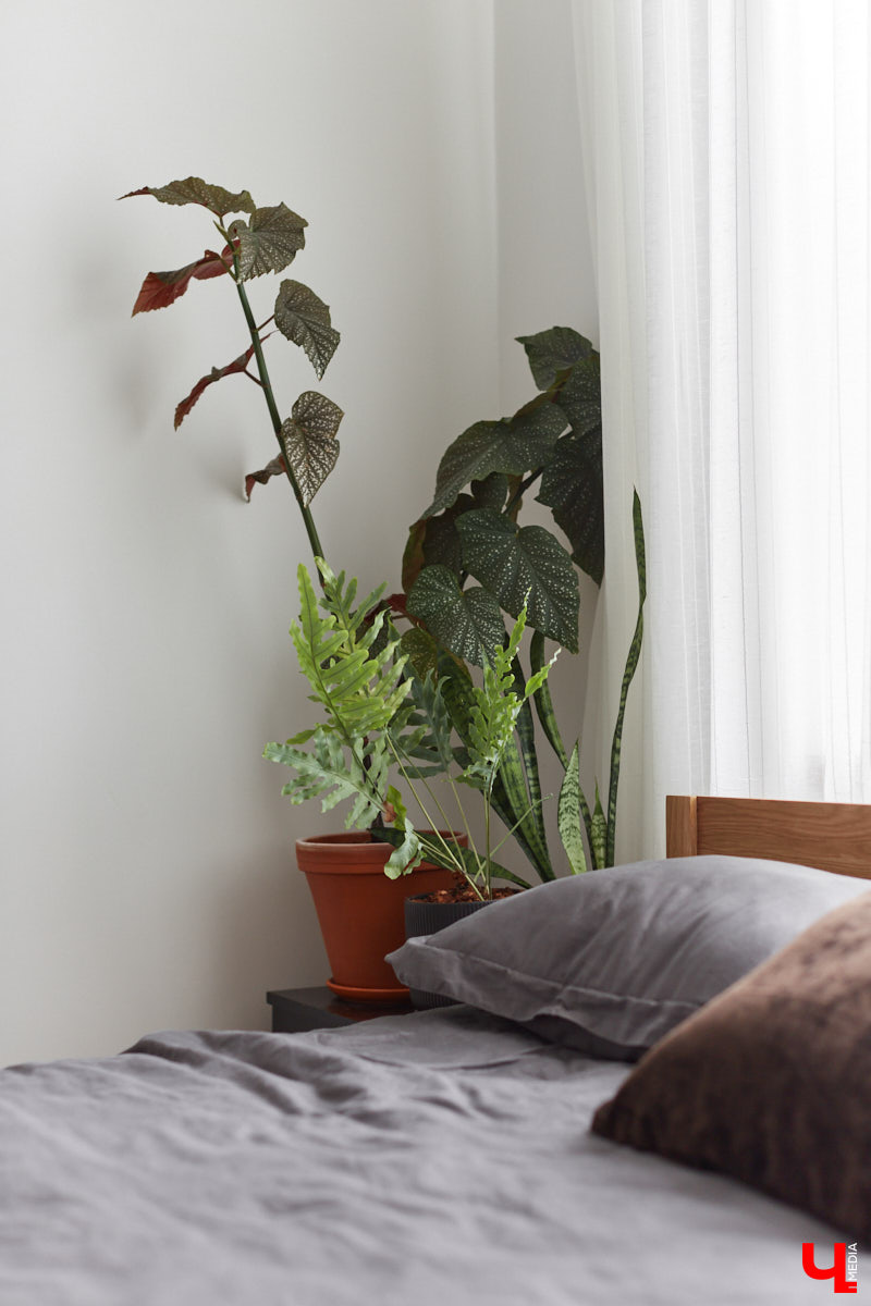 Сначала владимирская художница Люся LU Соловьёва просто любовалась сталинкой на Октябрьском проспекте, пока-таки не решилась приобрести там квартиру. Два года ремонта, и мечта жить в эстетичном доме 1957 года постройки стала реальностью. Идем в гости в старый фонд: любоваться огромными потолками, лепниной и винтажной мебелью