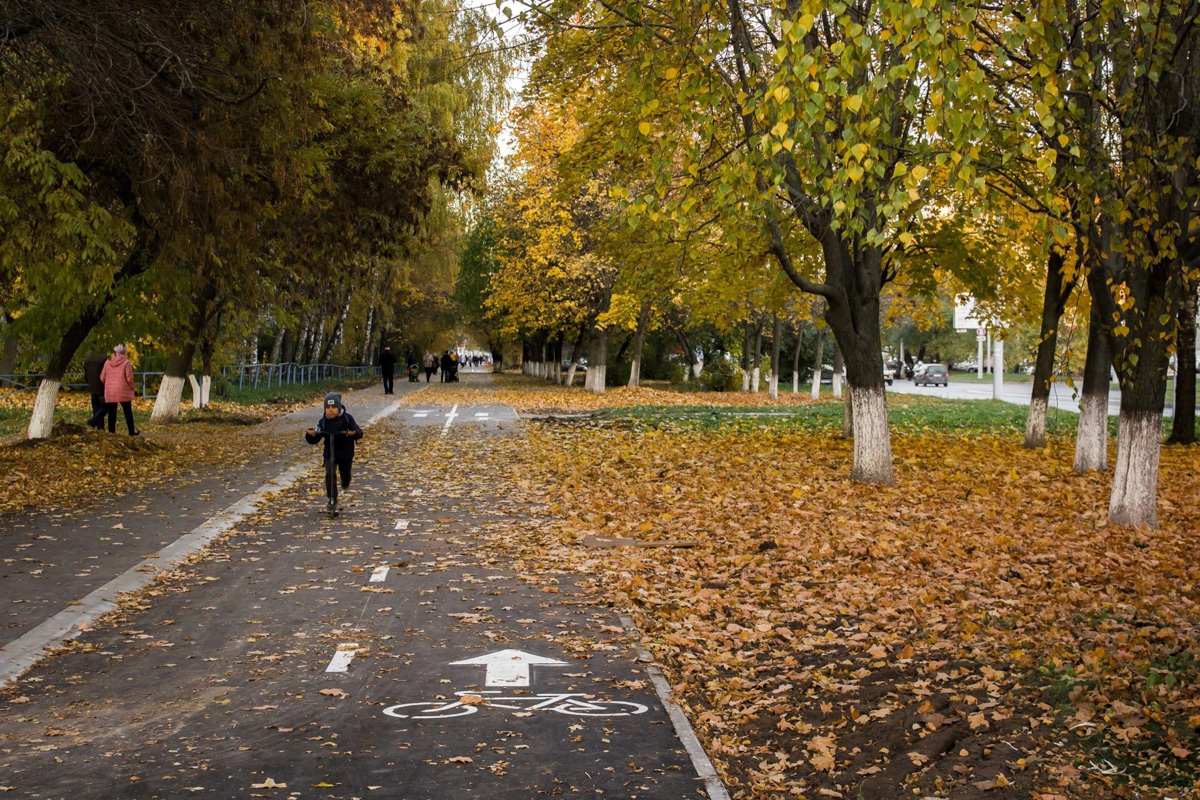Владимир облагораживается перед погружением в зимний сезон: меняется дорожное полотно, устанавливаются знаки, вычерчиваются «зебры» и велодорожки, даже дополнительные камеры видеофиксации появляются. Против нескольким радостных новостей есть одна грустная - тарифы на проезд в общественном транспорте могут измениться. Подробности в обзоре дорожных новостей за неделю.
