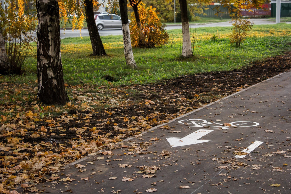 Владимир облагораживается перед погружением в зимний сезон: меняется дорожное полотно, устанавливаются знаки, вычерчиваются «зебры» и велодорожки, даже дополнительные камеры видеофиксации появляются. Против нескольким радостных новостей есть одна грустная - тарифы на проезд в общественном транспорте могут измениться. Подробности в обзоре дорожных новостей за неделю.