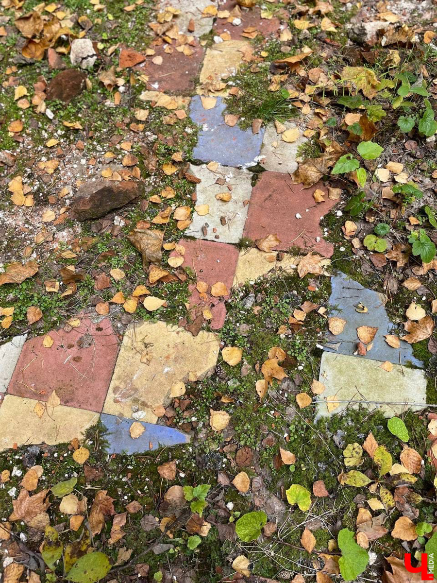 У колокольни-маяка в погосте Венец прошла презентация книги супругов-краеведов Фроловых. Гости мероприятия прошли по лесу 9 км.