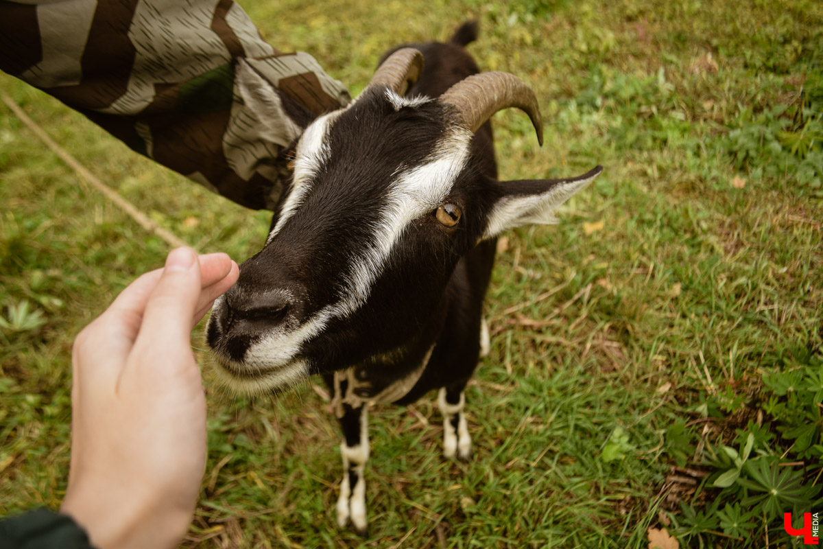 В выходные под Суздалем прошел необычный спектакль-бродилка «По грибы» от сельского театра в Фомихе. О любопытной постановке и нестандартной творческой форме — в фоторепортаже «Ключ-Медиа».