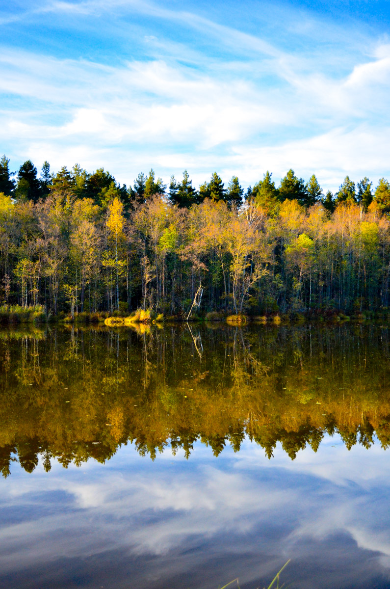 Есть места, которые люди просто оставили. Не разрушили, лишь забыли. Детский лагерь «Дзержинец» на берегу реки Колпь — как раз такая локация с удивительной атмосферой.