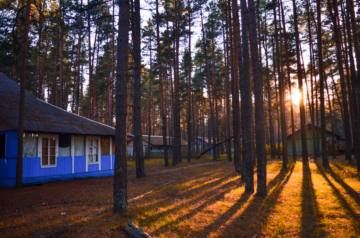 Есть места, которые люди просто оставили. Не разрушили, лишь забыли. Детский лагерь «Дзержинец» на берегу реки Колпь — как раз такая локация с удивительной атмосферой.