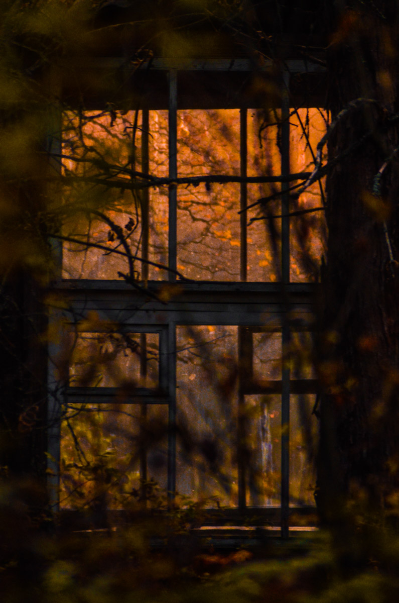 Есть места, которые люди просто оставили. Не разрушили, лишь забыли. Детский лагерь «Дзержинец» на берегу реки Колпь — как раз такая локация с удивительной атмосферой.