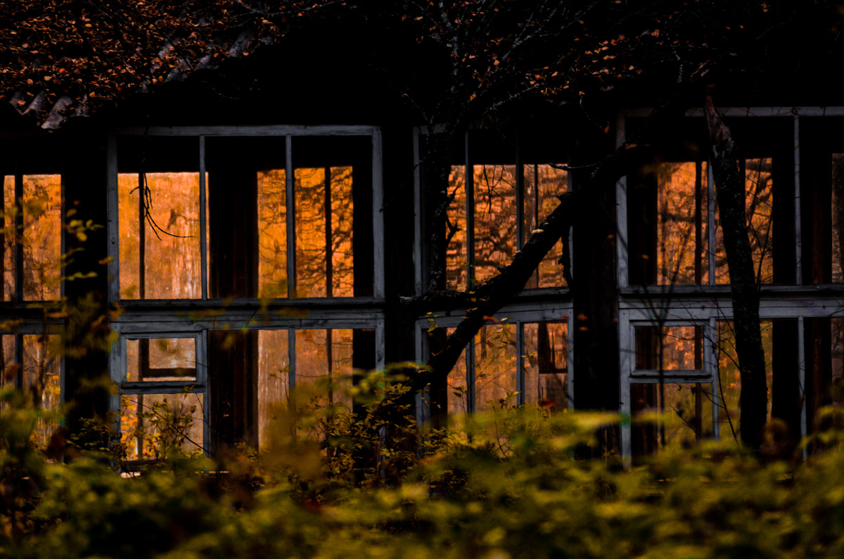 Есть места, которые люди просто оставили. Не разрушили, лишь забыли. Детский лагерь «Дзержинец» на берегу реки Колпь — как раз такая локация с удивительной атмосферой.