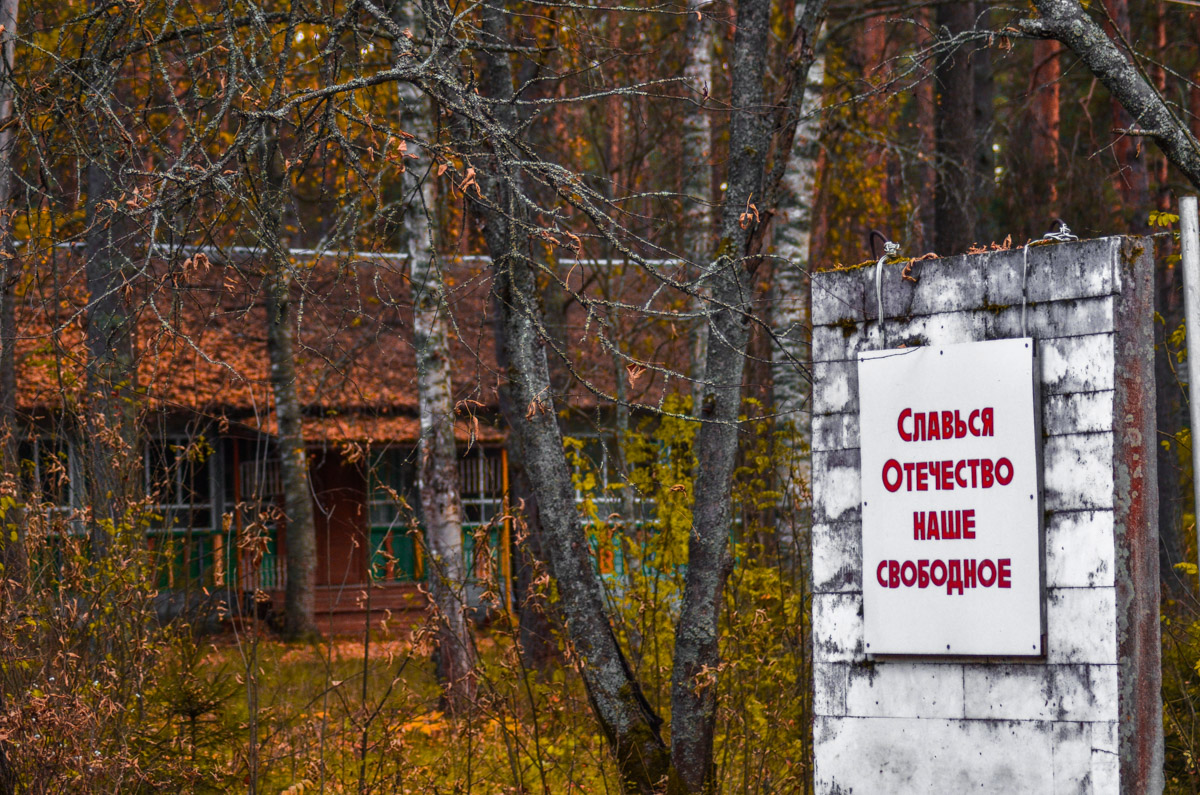Есть места, которые люди просто оставили. Не разрушили, лишь забыли. Детский лагерь «Дзержинец» на берегу реки Колпь — как раз такая локация с удивительной атмосферой.