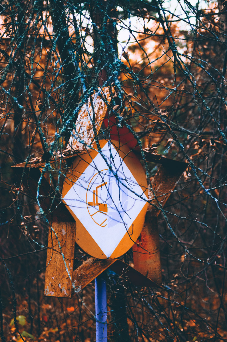 Есть места, которые люди просто оставили. Не разрушили, лишь забыли. Детский лагерь «Дзержинец» на берегу реки Колпь — как раз такая локация с удивительной атмосферой.