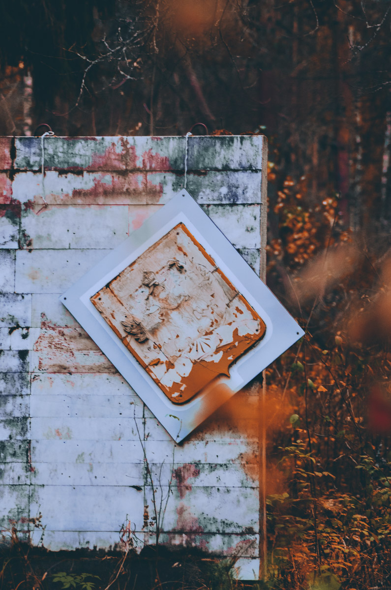 Есть места, которые люди просто оставили. Не разрушили, лишь забыли. Детский лагерь «Дзержинец» на берегу реки Колпь — как раз такая локация с удивительной атмосферой.