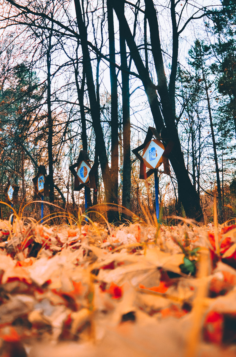 Есть места, которые люди просто оставили. Не разрушили, лишь забыли. Детский лагерь «Дзержинец» на берегу реки Колпь — как раз такая локация с удивительной атмосферой.