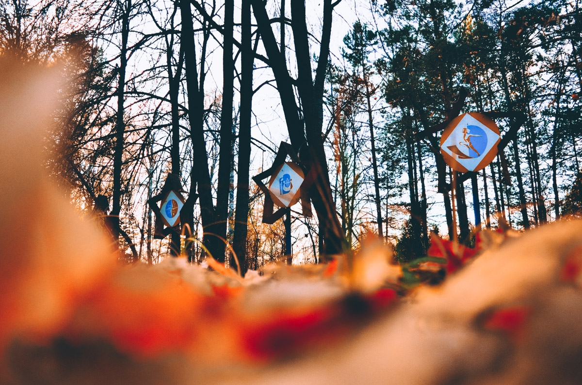 Есть места, которые люди просто оставили. Не разрушили, лишь забыли. Детский лагерь «Дзержинец» на берегу реки Колпь — как раз такая локация с удивительной атмосферой.