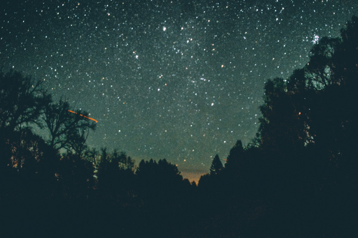 Есть места, которые люди просто оставили. Не разрушили, лишь забыли. Детский лагерь «Дзержинец» на берегу реки Колпь — как раз такая локация с удивительной атмосферой.