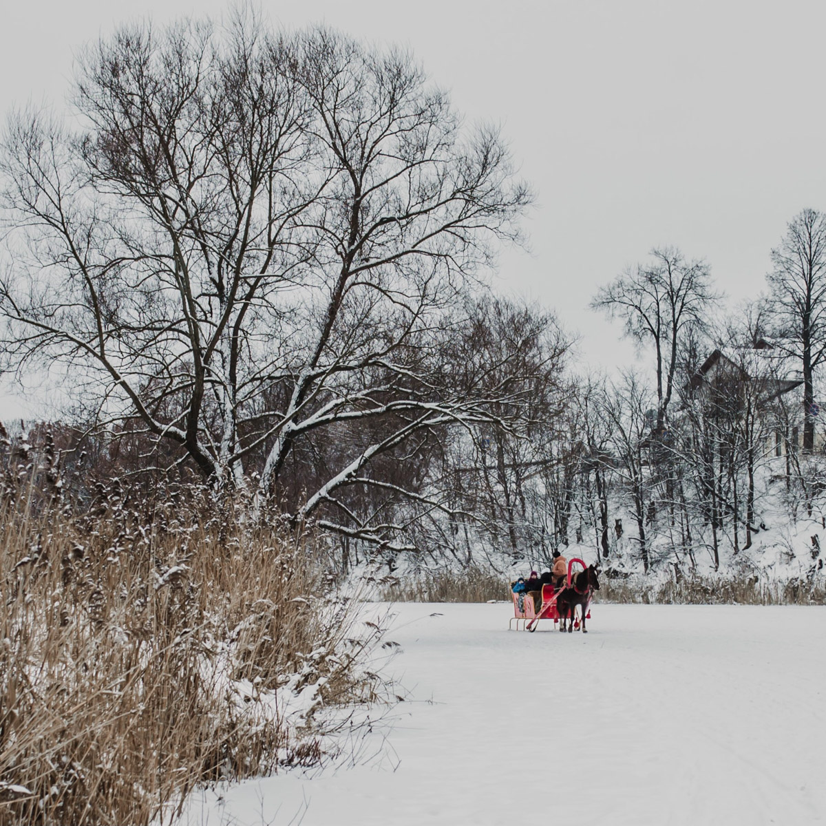 Дыра, захолустье, нечего тут делать — примерно так видят Суздаль некоторые его коренные жители. А вот «понаехавшие» из Москвы почему-то думают иначе. Пообщались с известным фотографом Анастасией Охотниковой. Многодетная мама год назад сменила прописку и теперь делится впечатлениями.