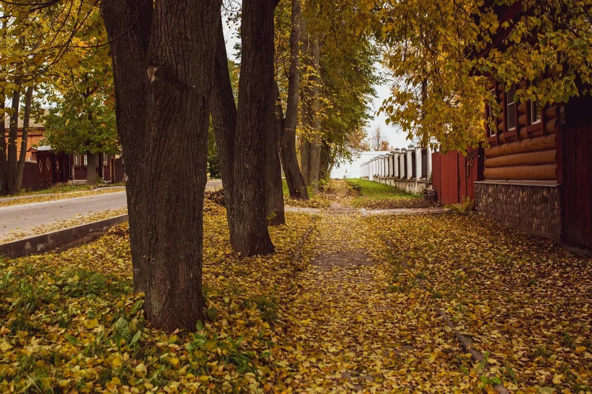 Дыра, захолустье, нечего тут делать — примерно так видят Суздаль некоторые его коренные жители. А вот «понаехавшие» из Москвы почему-то думают иначе. Пообщались с известным фотографом Анастасией Охотниковой. Многодетная мама год назад сменила прописку и теперь делится впечатлениями.