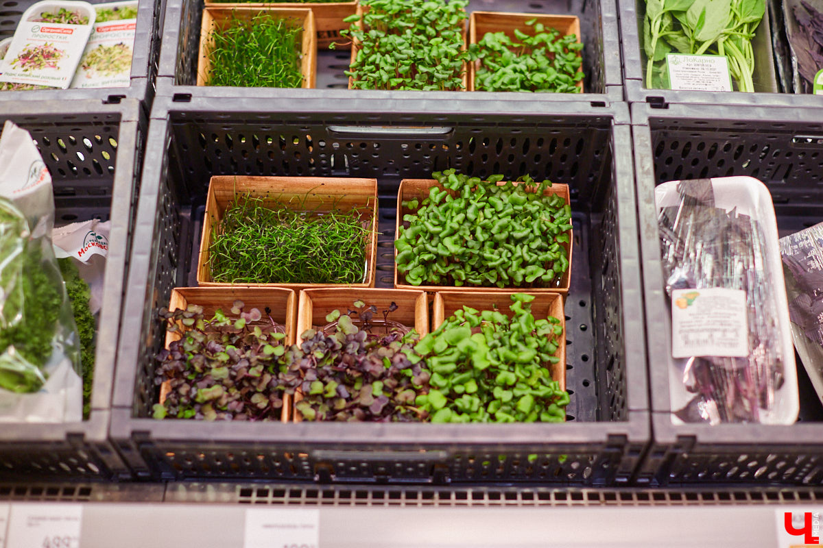 Управляющий «Глобуса» Давлет     Сабуров не только готовил на пару с Дмитрием Орловским, но и рассказывал нам о грядущих переменах в гипермаркете. Например, вскоре там модернизируют и обновят ресторан. Появятся новые станции. Все подробности ищите в материале «Ключ-Медиа».