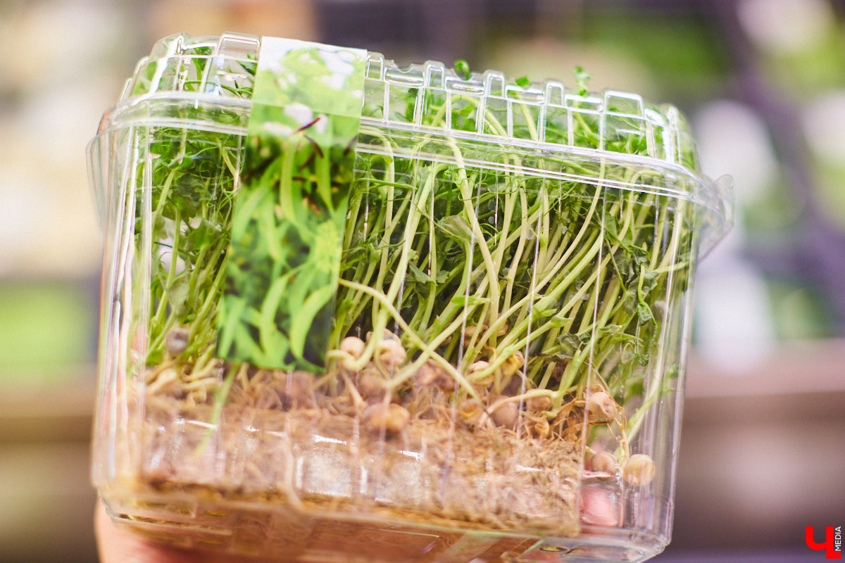 Управляющий «Глобуса» Давлет     Сабуров не только готовил на пару с Дмитрием Орловским, но и рассказывал нам о грядущих переменах в гипермаркете. Например, вскоре там модернизируют и обновят ресторан. Появятся новые станции. Все подробности ищите в материале «Ключ-Медиа».