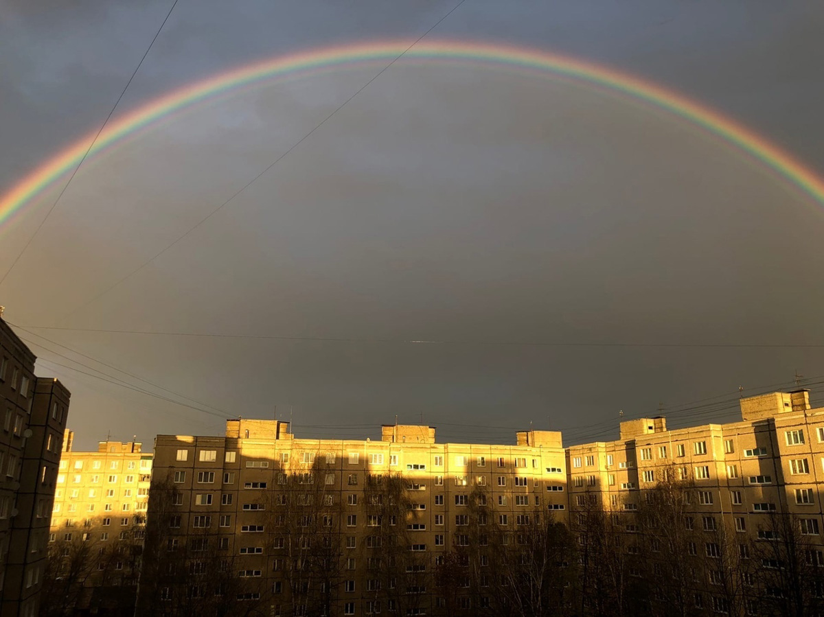 А помните, в пятницу над городом висело чудесное «коромысло»? Так вот многим владимирцам успешно удалось запечатлеть это редкое природное явление — двойную радугу. Смотрим подборку!