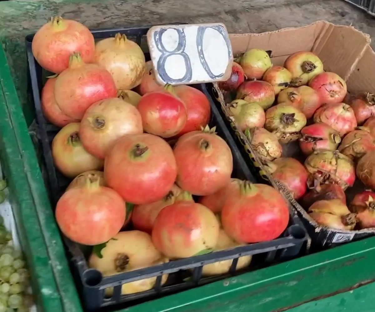 Пару месяцев назад журналист «Ключ-Медиа» Александр Мясников вместе с женой переехал в Албанию, а теперь подробно разбирает новое место жительства по многим пунктам — еда, сервис, климат, финансы и жители. Так где же лучше жить, во Владимире или на Балканах?